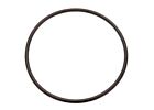 01972943 1972943 Acdelco Gm Original Equipment Distributor Housing Seal