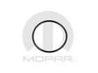 2875923 Mopar Distributor