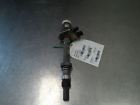 606-02234 Cimarron Distributor Cavalier