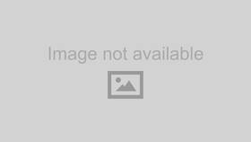 565-207bk Holley Distributor For Classic And Modern Engines