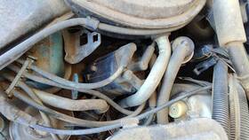 01103440 Oldsmobile 1982 Firenza Ignition Distributor Oem 1.8l
