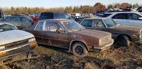 606-01784 Pontiac Distributor 6-173 Fits 80 Citation 2081067