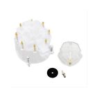 Sum-g5236 Summit Racing Cap Rotor Clear Brass Terminals Gm Checker