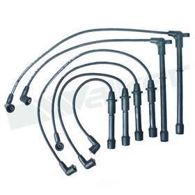 924-1812 Walker Products Ignition Wire Set