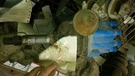 Distributor 8-304 Fits 72-74 Amx 1034783. Fixed Price $99.13.