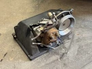 Porsche 924 Bosch Fuel Injection Distributor Air Flow 0438120103. Fixed Price $279.99.