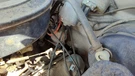 1982-1985 Dodge D350 Ignition Distributor Oem 5.9L 04091662. Fixed Price $142.41.