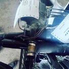 Distributor 6-231 Fits 81-87 Cutlass 171428. Fixed Price $65.00.