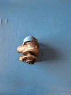 82 Escort Distributor Mt 3499. Fixed Price $44.85.