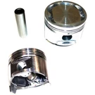P601 Dnj Set Of 4 Pistons For Pickup Nissan 720 Truck Datsun 1981-1982. Fixed Price $105.86.