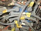 Jaguar Xjs Ignition Distributor V12 1982-1989 #DAC4379. Fixed Price $190.00.