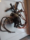 90-94 Mercury Capri Turbo 1.6 M/t Distributer T4T72273A. Fixed Price $165.00.