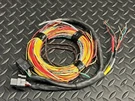 Dta S60PRO Wiring Harness (jg). Fixed Price $199.00.