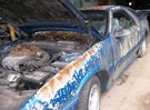 Distributor 6-181 Fits 87-95 Caravan 327752. Fixed Price $23.64.
