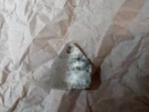 Mopar Prestolite Distributor Tag #2444358 Commando 1964 383 Dual Point. Fixed Price $10.00.