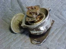 1982 Motorcraft Distributor , E2EE12127FA. Fixed Price $15.00.