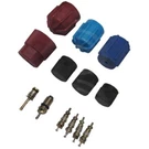 1311567 Gpd A/c Caps And Valve Core Seal Kit For E150 Van E250 E350 F150 Truck. Fixed Price $16.82.