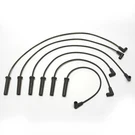 Spark Plug Wire Set Delphi XS10235. Fixed Price $100.99.