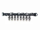Comp CL31-215-2 High Energy Hyd Camshaft & Lifter Kit Ford Sbf 221-302. Fixed Price $335.93.
