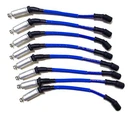 Gm 8.1L 01-09 High Performance 10 Mm Blue Spark Plug Wire Set 48318B. Fixed Price $160.99.