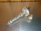 Gm Delco Remy Distributor 1111996 9G16 1970 Chevy Chevrolet Camaro 350 4-SPEED. Fixed Price $275.00.