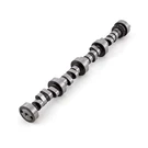 Ford Sb 289 302 351 Windsor Hydraulic Roller Camshaft 218 Int. 224 Exh. Duration. Fixed Price $197.68.