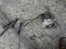 Accord 2.2L 1996-1997 Ignition Distributor & Cap Rotor Used Oem M/t 5SPEED. Fixed Price $150.00.