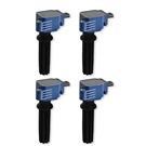 Msd Ignition 825945 Direct. Fixed Price $377.95.