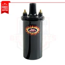 Pertronix 45011 Flame Thrower Ii Canister Ignition Coil For Distributor. Fixed Price $75.99.